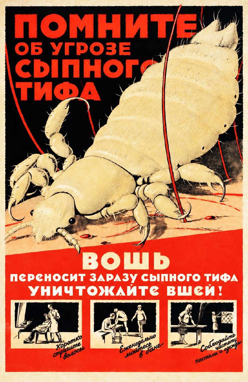 media-2854.jpg
